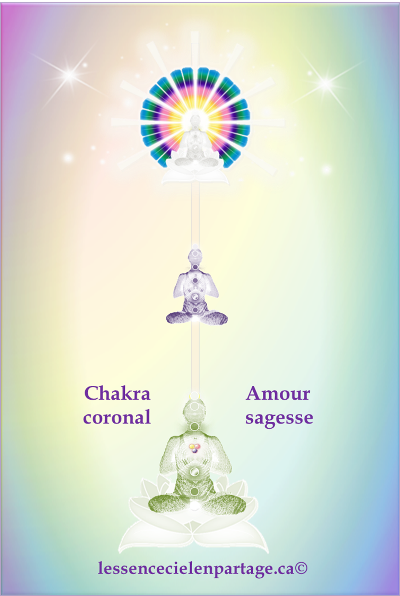 Connexion à La Présence JE SUIS  
par le chakra coronal et l'étincelle Divine logée dans le Cœur