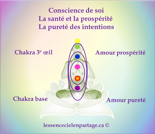 La Conscience ► Chakra 3e oeil et la Pureté de l'intention ► chakra de la base