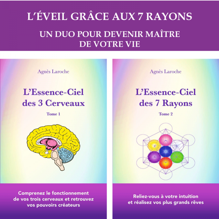 Deux livres Guides numériques - PDF